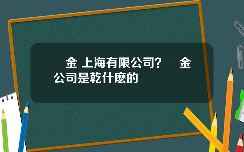 國金 上海有限公司？國金公司是乾什麽的